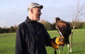 pest control in Eagle